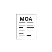Memorandum of Association